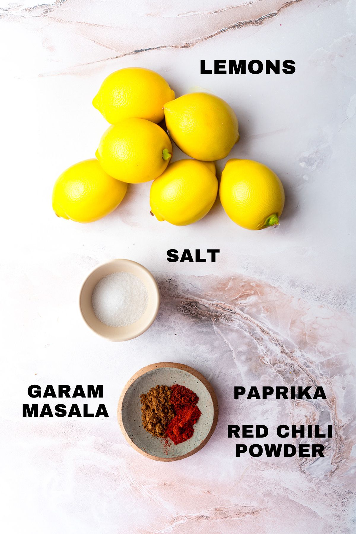 Lemons, salt, garam masala, paprika, and red chili powder ingredients with labels.