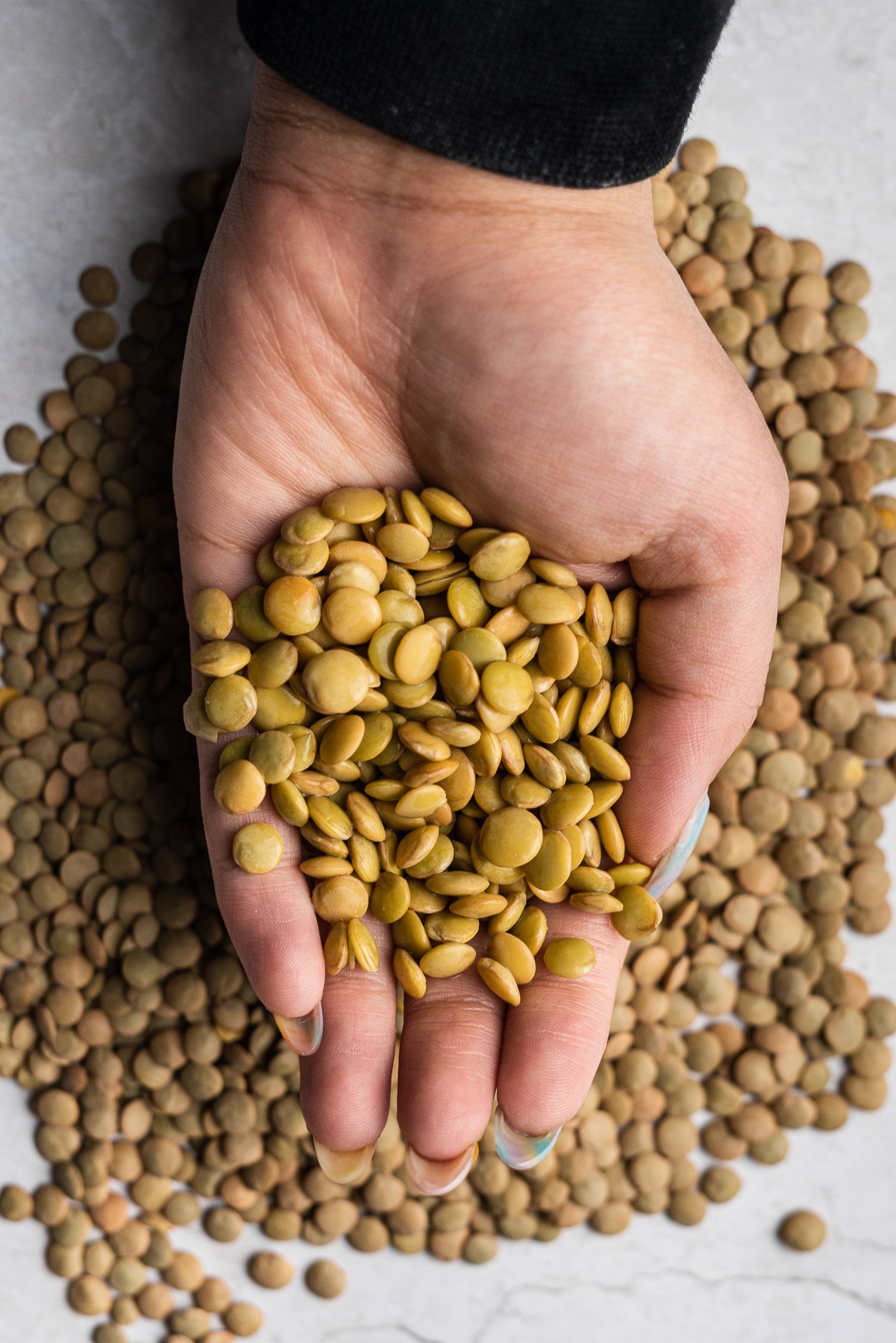 hand holding soaked masoor dal over dry dal