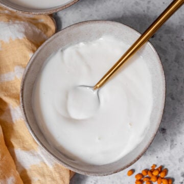  hausgemachte Dahi in zwei Schalen mit einem Löffel und boondi