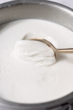 Dhai How to make Dahi (Indian Curd Yogurt) - Masala and Chai