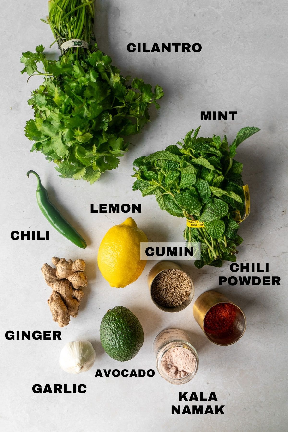 Ingredients for cilantro-mint chutney with labels.