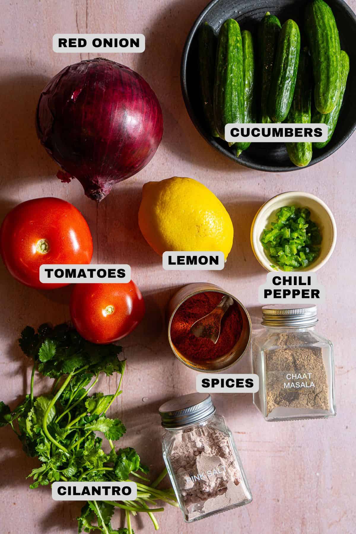 Red onion, cucumbers, lemon, tomatoes, chili pepper, spices, and cilantro ingredients with labels.
